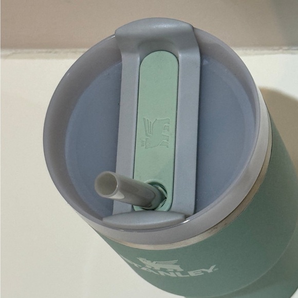 Stanley Flowstate Eucalyptus 20oz Tumbler - Picture 3 of 5